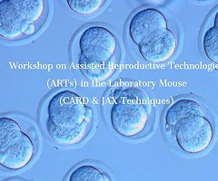 WORKSHOP ON ASSISTED REPRODUCTIVE TECHNOLOGIES (ARTS) IN THE LABORATORY MOUSE (CARD & JAX TECHNIQUES)
