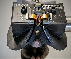 Un innovador dispositivo de realidad virtual transforma la investigación con ratones