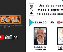 Canal de YouTube de SBCAL: