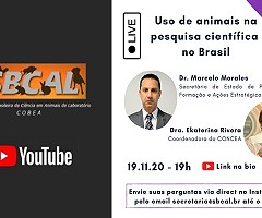 Canal de YouTube de SBCAL: