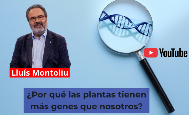 ¿Por qué las plantas tienen más genes que nosotros? La charla de Lluís Montoliu que invita a repensar la biología (Presentación YouTube)