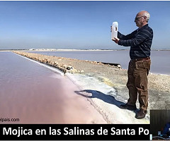 8ª Charla FEM - Dr. Lluís Montoliu: 