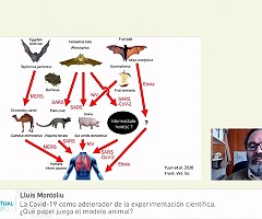 Lluís Montoliu: La Covid-19 como acelerador de la experimentación científica. ¿Qué papel juega el modelo animal? (Presentación en ExpoBioteriosVirtual)