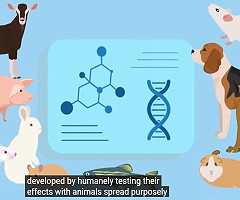 Video 'How Medicines Are Made' (YouTube)