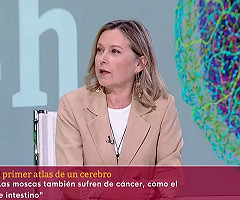 OBJETIVO PLANETA: LORENZO MILÁ y LA MOSCA DE LA FRUTA | RTVE Noticias (Video YouTube)