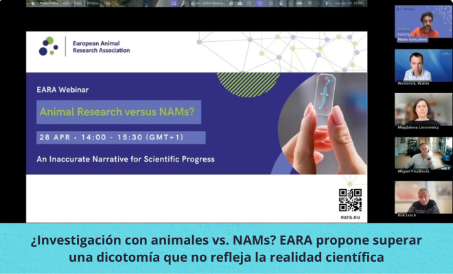 ¿Investigación con animales vs. NAMs? EARA propone superar una dicotomía que no refleja la realidad científica (Presentación en Video)