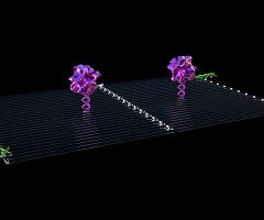 Se localizan y destruyen tumores en solo 48 horas gracias a este nanobot