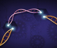 ARRIGE: en busca de una gobernanza global de la edición génica