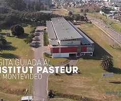 Visita virtual guiada al Institut Pasteur de Montevideo (YouTube)