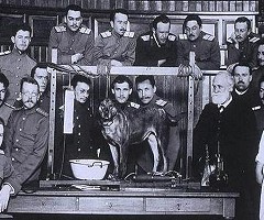 Los otros animales que han contribuido al avance de la ciencia