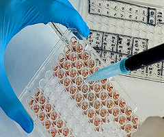 El rol de las científicas de la UBA en el descubrimiento mundial contra el cáncer