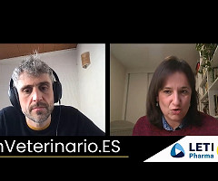 Pódcast: Salud Global con Elisa Pérez Ramírez