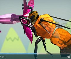 Un vídeo de la Universidad de Vigo destaca la importancia de los polinizadores