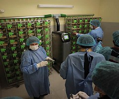 A cien días de su apertura se presentan los primeros avances del Bioterio automatizado de la UAC (Cusco, Perú)