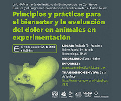 Curso Taller: Principios y prácticas para el bienestar y la evaluación del dolor en animales en experimentación