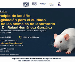 Curso híbrido: El principio de las 3Rs y la legislación para el cuidado y uso de los animales de laboratorio