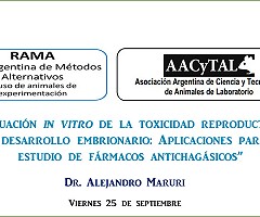 Ciclo de Conferencias RAMA: Evaluación in vitro de la toxicidad reproductiva y del desarrollo embrionario: Aplicaciones para el estudio de fármacos antichagásicos.