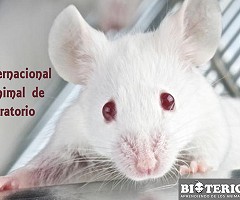 Día Internacional del Animal de Laboratorio