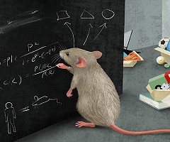 Simplificando nuestro mundo: Los ratones dominan el pensamiento complejo con una notable capacidad de abstracción.