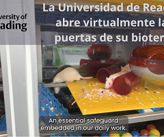 Universidad de Reading abre virtualmente las puertas de su bioterio para acercar la investigación con animales a la sociedad