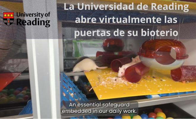 Universidad de Reading abre virtualmente las puertas de su bioterio para acercar la investigación con animales a la sociedad