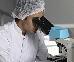 Un nuevo sistema permitirá reducir el uso de animales en experimentos