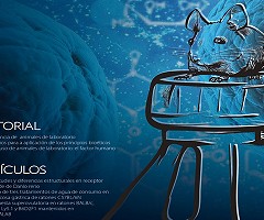 Revista Fesahancccal: Vol.6 Núm.1 (2020)