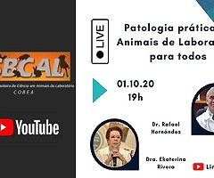 Canal de YouTube de SBCAL: