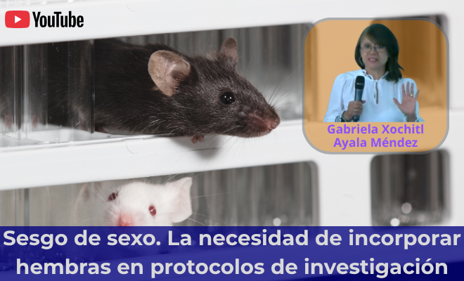 Sesgo de sexo: la necesidad de incorporar hembras en protocolos de investigación (YouTube)