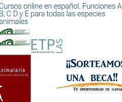 ¡¡Últimos días!! Sorteo de beca para cursos online en español de Animalaria S.L.