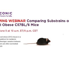 Webinar sin costo: Comparing Substrains of Diet-Induced Obese C57BL/6 Mice