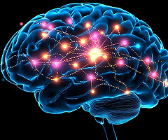 TOC: científicos explican cómo funciona el “botón” del cerebro que impulsa los comportamientos repetitivos