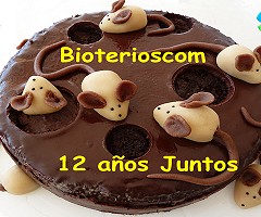 12 años junto a ustedes