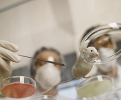 Alerta por los efectos del triclosán sobre la salud