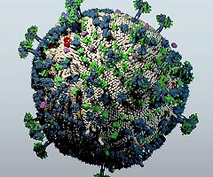 Diseñada una vacuna eficaz frente a cientos de cepas del VIH