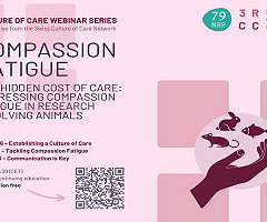 Nueva serie de seminarios web aborda la “fatiga por compasión” en el trabajo con animales de investigación